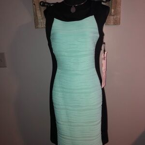 Calvin Klein Black and Mint Midi Dress